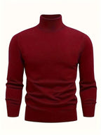 Pull à col roulé pour homme
