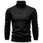 Pull homme col roulé