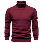 Pull homme col roulé